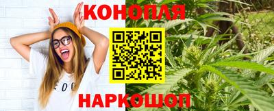 дмт Моздок