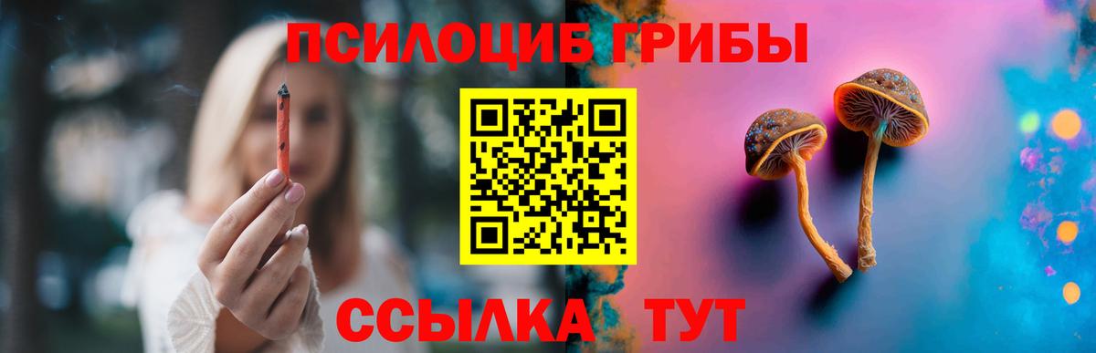 Урус-Мартан  Галлюциногенные грибы GOLDEN TEACHER  Вход с VPN 
